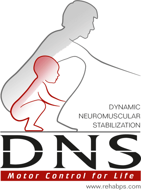 DNS · Dynamic Neuromuscular Stabilization, Escola de Reabilitação de Praga
